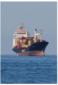 살물선(Bulk Carrier)